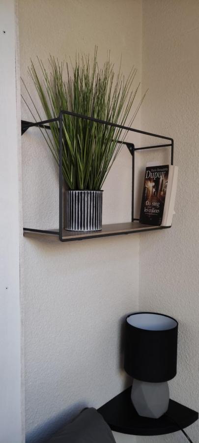 Appartement T2 A Bernex Avec Wifi, Vue Sur Montagne Kültér fotó