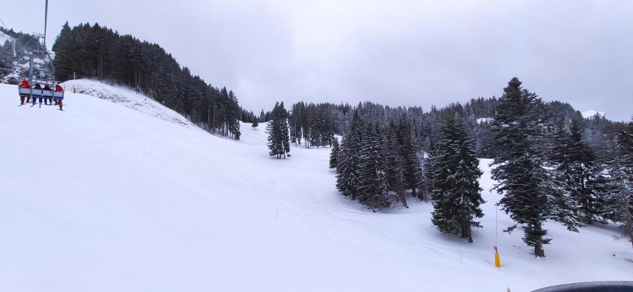 Appartement T2 A Bernex Avec Wifi, Vue Sur Montagne Kültér fotó